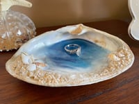 Clam Shell Ocean Ring Dish