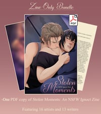 The Stolen Moments zine (zine only)