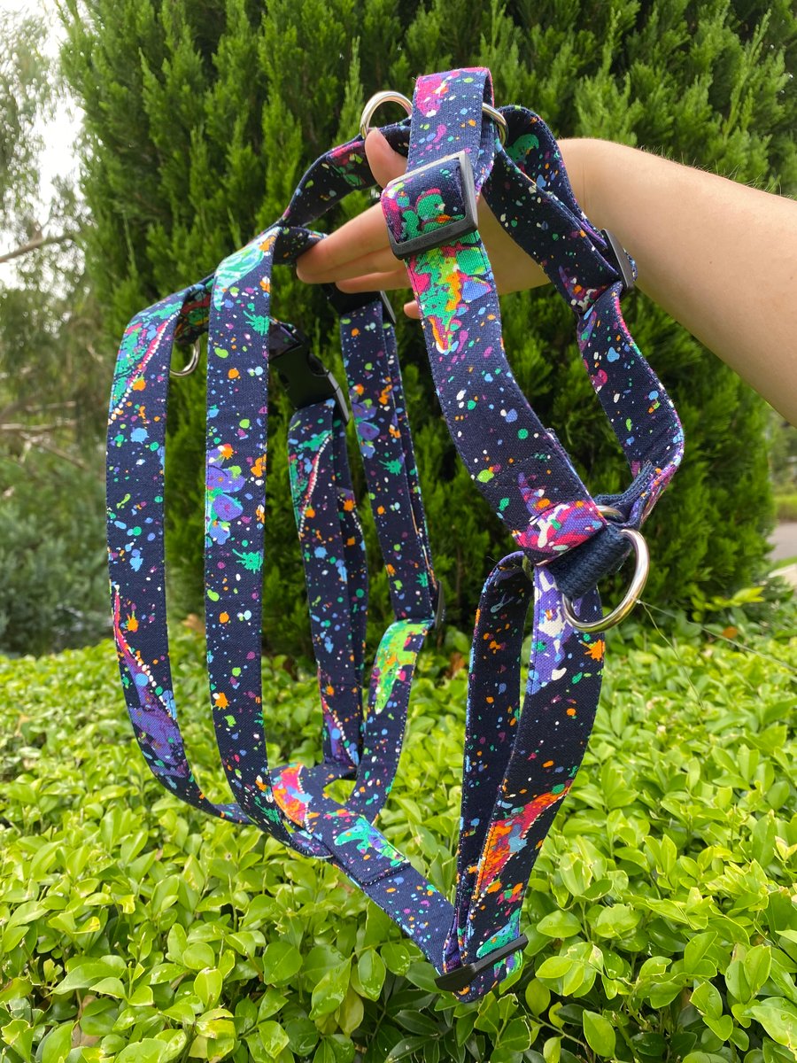 The Greyhound Harness the pointed pup