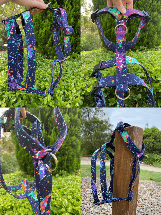 The Greyhound Harness the pointed pup