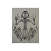 Skeleton Frog Print