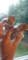 California white sage 4"L