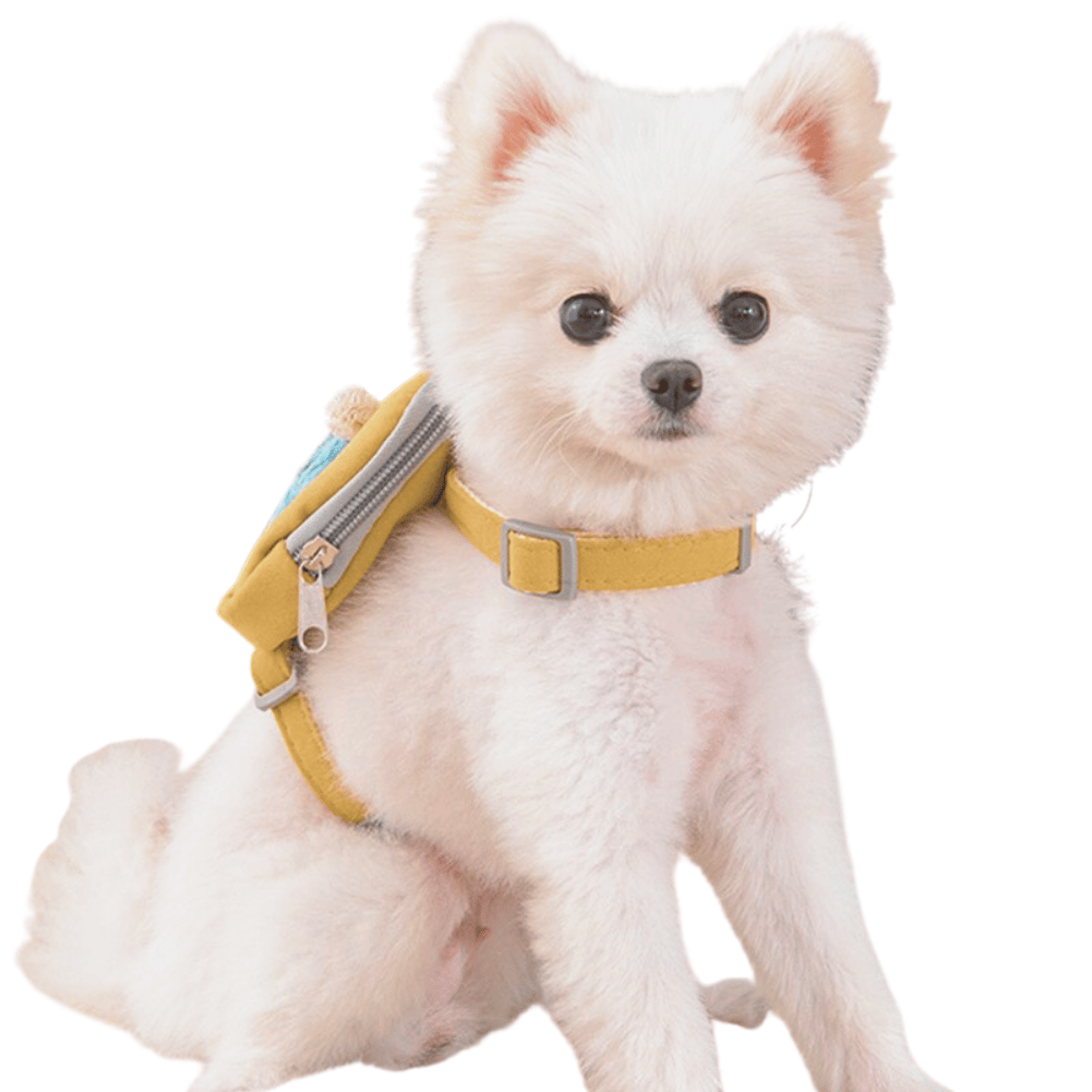 Image of Best Fuzzy Friend Leash and Backpack (2-in-1)