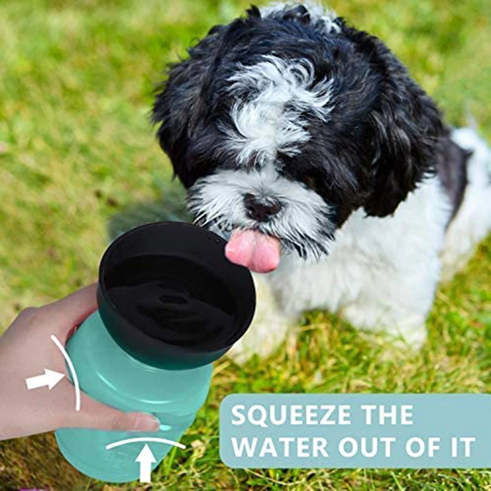 Image of Best Furry Friend Water Bottle