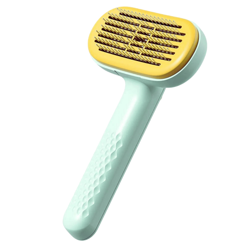 Image of Best Furry Friend Dispensable Brush