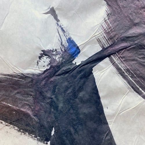 Image of Strokey Shoe / Niels Shoe Meulman