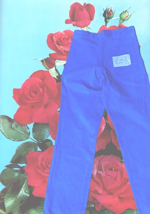 Floreros pant