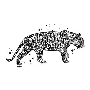 SUMATRA TIGER INKTOBER 20