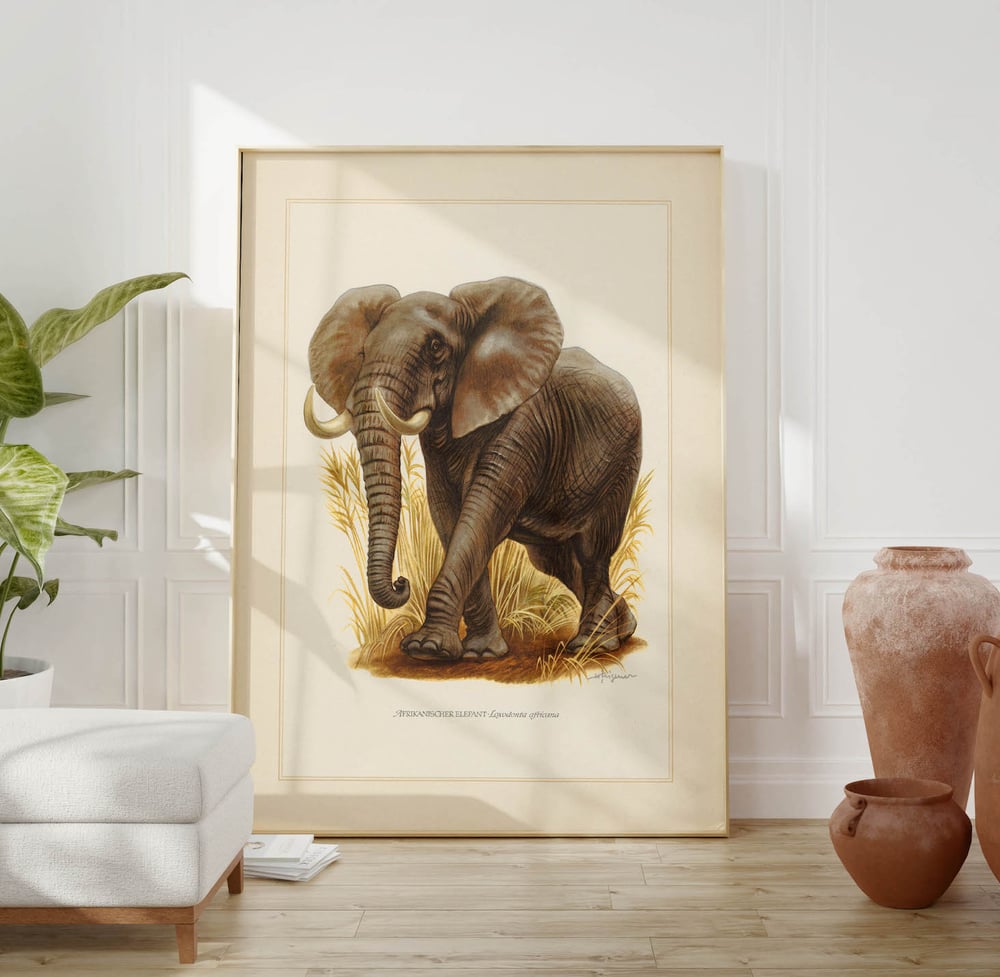 Vintage Animal Art Print No 06 - Large African Elephant