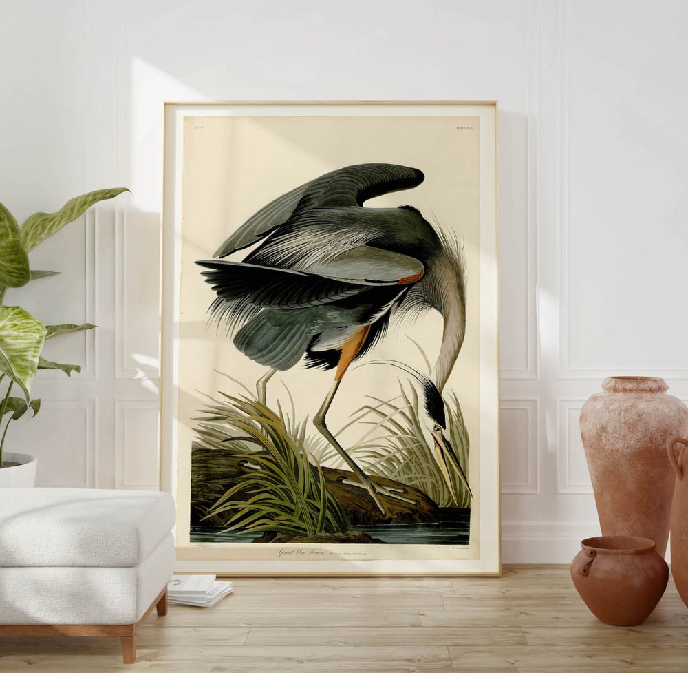 Vintage Animal Art Print No 14 - Great Blue Heron Audubon Bird