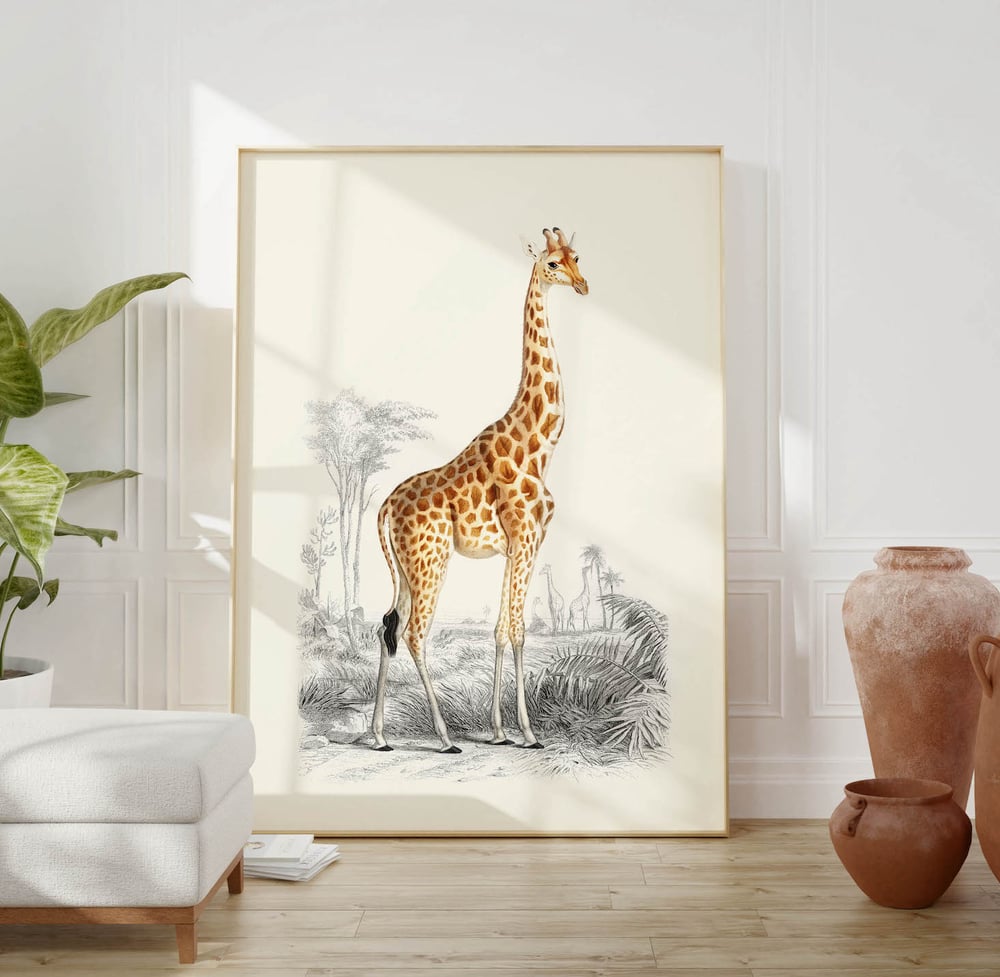 Vintage Animal Art Print No 18 - The Giraffe