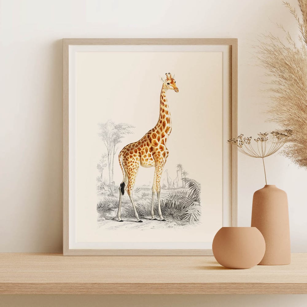 Vintage Animal Art Print No 18 - The Giraffe