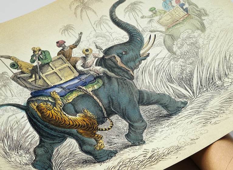 Vintage Animal Art Print Poster No 22 - Hunting with Elephants