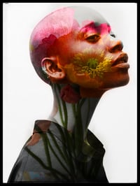 Image 1 of Poppy blush