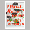 Perfect is Boring - A2