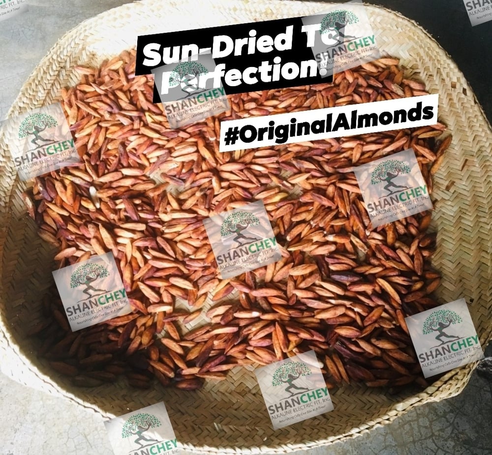 ORIGINAL-WILD Sri Lankan Sea Almonds Seeds. WILD PeaNOTS! Roasted Brazilian Baru Legume Seeds.