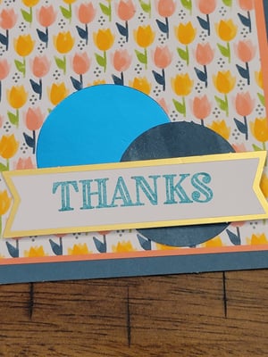 Image of Tulip Thanks