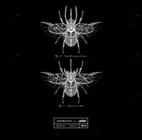 Image 4 of COLEOPTERAS ENTOMOLOGIA