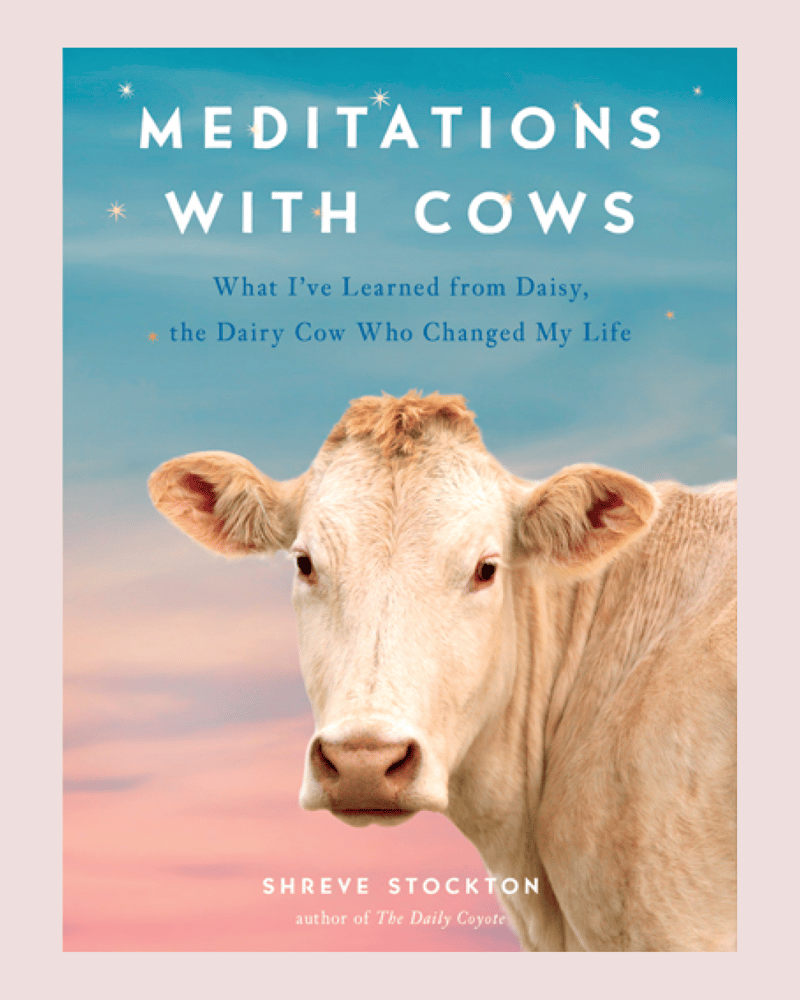 Image of Meditations with Cows ~ Signed Book