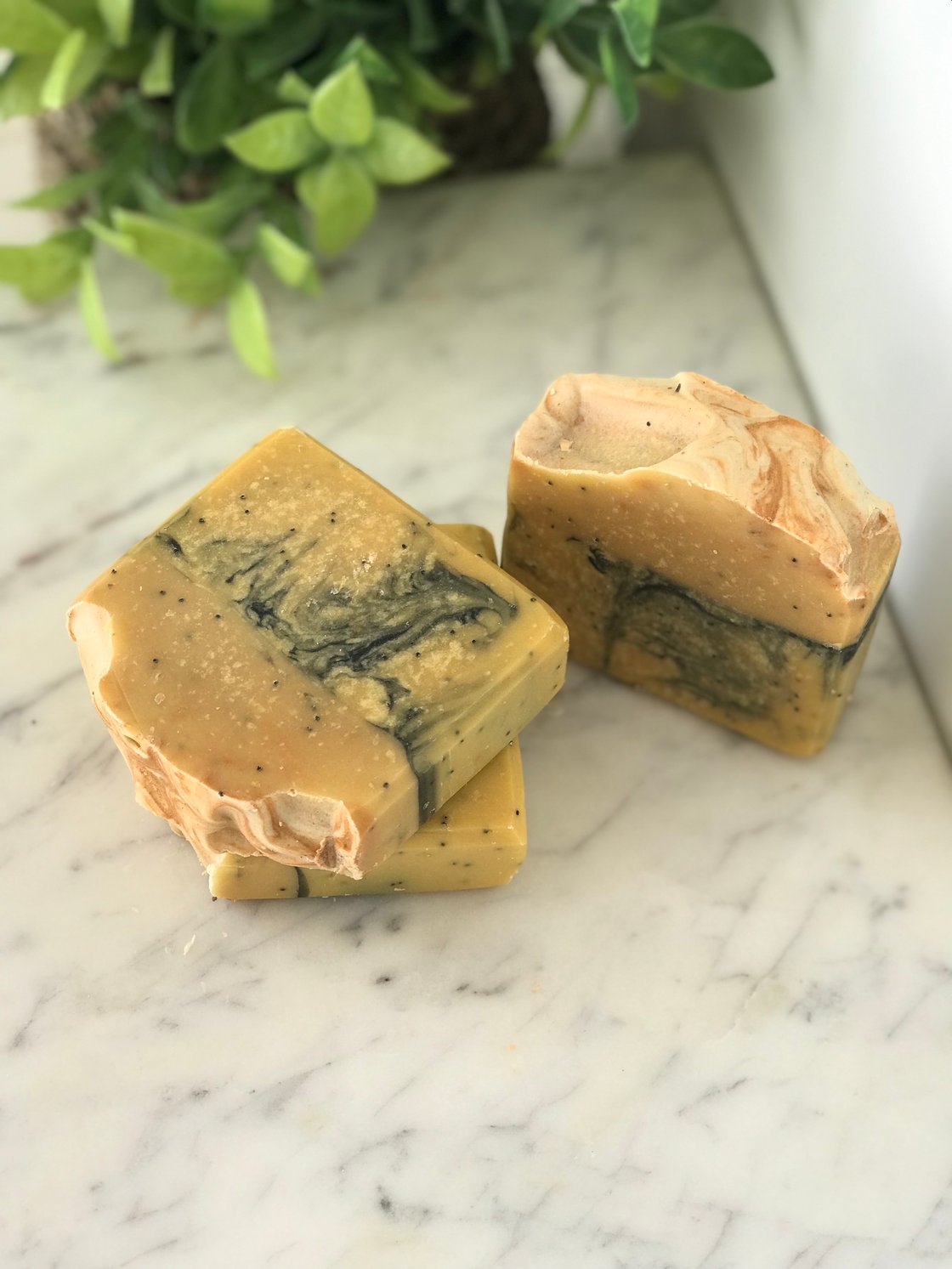 Image of Black & Gold Poppy Seeds