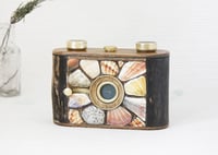 Pinhole camera. Driftwood, sea shells. 6X4,5