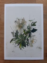 Image 1 of Hellebores no. 1 (giclée print)