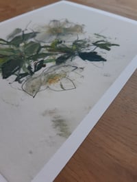 Image 2 of Hellebores no. 1 (giclée print)