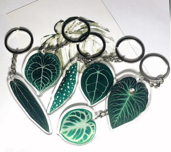 Image of Plant Keychain acrylic | Rare plant| Gift for plant mom | Rare Plant| Plant Keyring| Foliage keychai