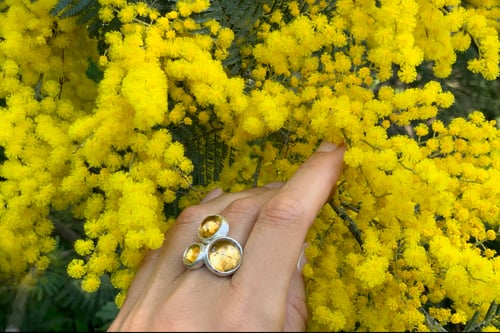 Image of "The merry face of spring..." silver rings with citrines · VERIS LETA FACIES MUNDO PROPINATUR  ·