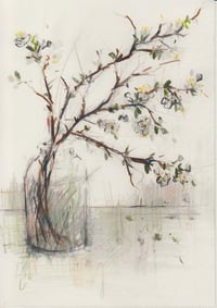 Hedgerow blossom in a vase no. 2
