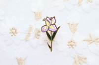 Image 2 of Iris Flower 
