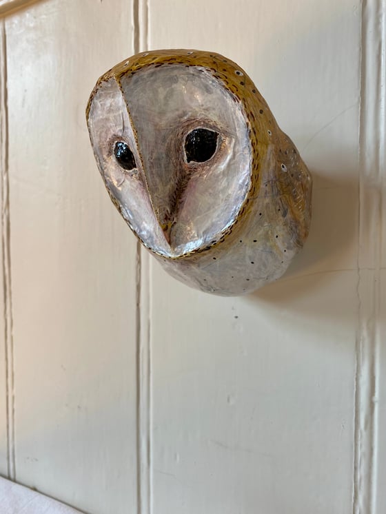 Image of Barn Owl 