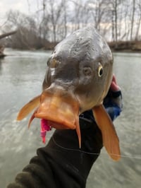 Image 3 of Standing Hampton