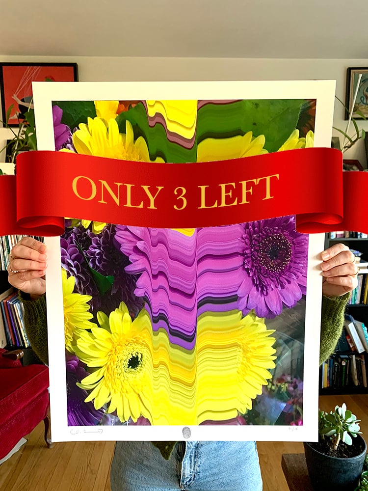 Image of Flowers Against Humanity 006 Limited Edition Giclee Fine Art Print 