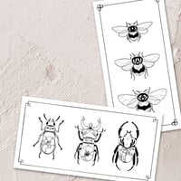 Set: Bees & Bugs