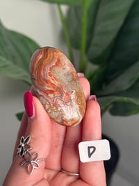 Image 8 of CHOOSE YOUR OWN MEXICAN LACE AGATE PALMSTONES 