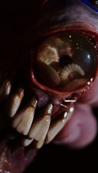 Image 9 of Handmade Horror Bic Lighter Sleeve OOAK