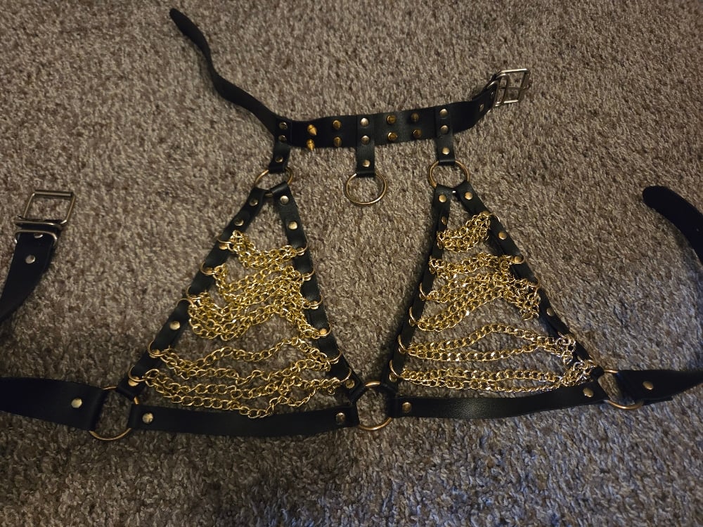 Image of chain harness
