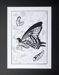 Image 1 of [Print A5] Papillon