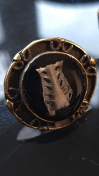 Image 3 of Crow pelvic girdle ring 