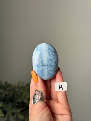 BLUE OPAL PALM STONES