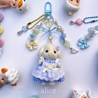 Image 2 of Flora Rabbit Siblings Keychains