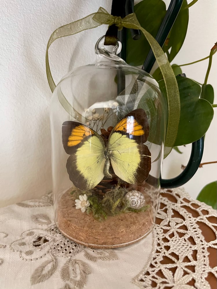 Image of Butterfly ornament III