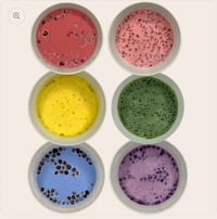 Image 3 of Goat Milk Rainbow Sample Pack