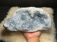 Image 5 of Celestite Cluster #2399