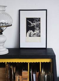 Image 2 of NIGHT BLOSSOM (UNIQUE)