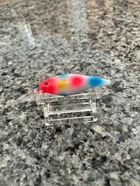 Wonderbread  5