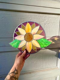 Image 2 of Copper Sunflower 
