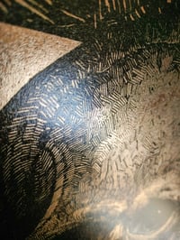 Image 4 of - Dark Skull 2 -