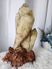Image 2 of 8.1lb XL Citrine Crystal Cluster With Custom Wood Stand